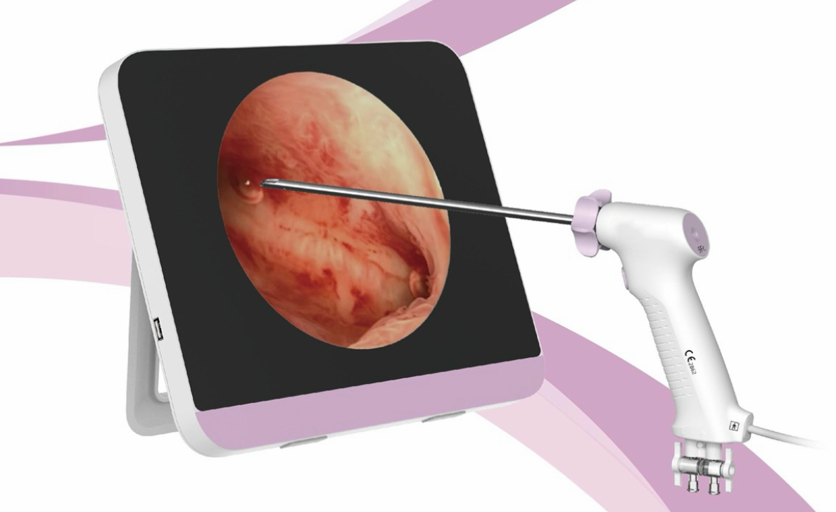 Single-use video hysteroscope and image processor